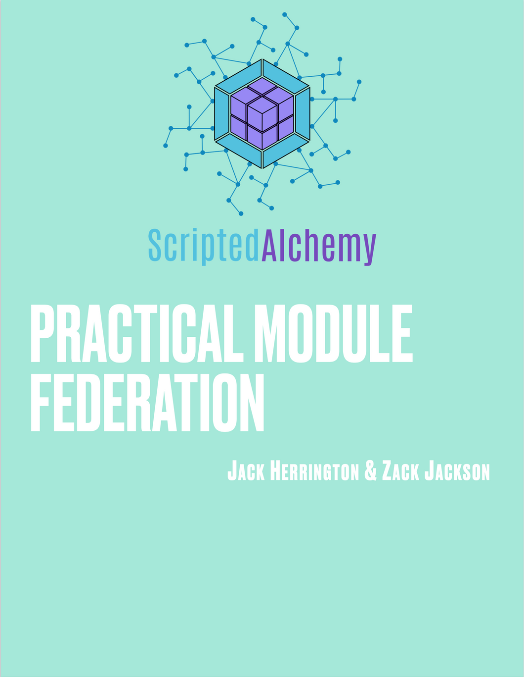 Practical Module Federation